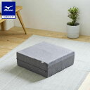 ミズノ公式 トランポリンクッション 代謝 お家トレーニング 筋トレ 自宅エクササイズ 体幹トレーニング 洗える 美脚 …