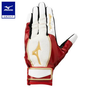 싅 ~Ymv g[jO ~Ym ɏՃpbhtfp jZbNX MIZUNO PRO bh×zCg 1EJET801