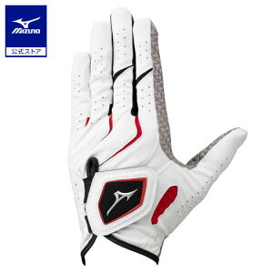 ~Ym _uObv wV[g / St Y zCg×bh