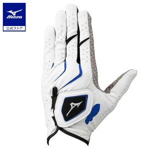 ~Ym _uObv wV[g / St Y zCg×u[