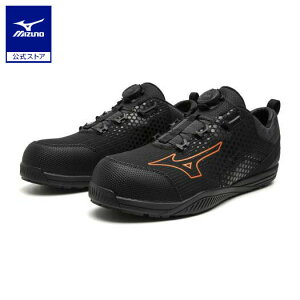 ~Ym I[}CeBTD II 51L BOA _C/[Jbg/[LO jZbNX ubN×IW