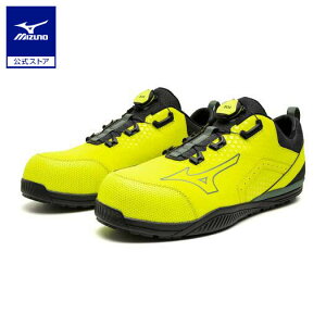 ~Ym I[}CeBTD II 51L BOA _C/[Jbg/[LO jZbNX CG[×J[L