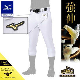 ミズノ公式限定 ミズノプロ 野球 ユニフォームパンツ レギュラーフィットタイプ ワッペン付 強伸 ストレッチパンツ 大人 練習着 練習着パンツ 野球ズボン メンズ