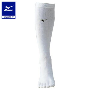 ~Ym ܖ{w\bNX WjA/fB[X zCg