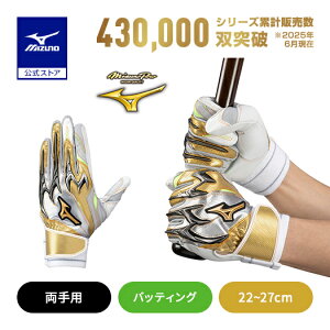 ~Ym 싅 ~Ymv obeBOO[u l VRp[A[N DI p O[ S[h C obeBO MIZUNO 1EJEA830