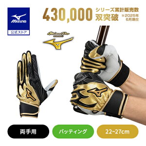 ~Ym 싅 ~Ymv obeBOO[u l VRp[A[N DI p S[h ubN obeBO MIZUNO 1EJEA831