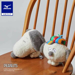 yyVX[p[SALEz~Ym yPEANUTSz{b` Xk[s[It ItzCg