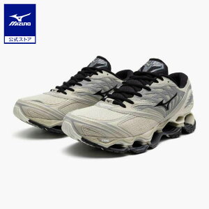 ~Ym WAVE PROPHECY LS jZbNX CgO[×ubN