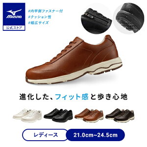 ~Ym LD40 VII SW EH[LO fB[X L