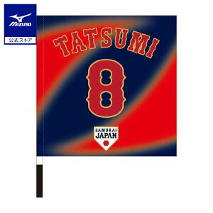 ~Ym Wp I艞tbO rW^[ C  v싅 싅ϐ {\  ObY