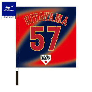 ~Ym Wp I艞tbO rW^[ kR j v싅 싅ϐ {\  ObY