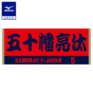 ~Ym Wp IWK[htFCX^I ܏\  v싅 싅ϐ {\  ObY