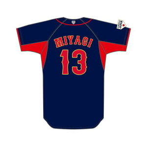 ~Ym Wp I背vJjtH[ rW^[ /22Nf jZbNX {  NAX