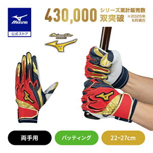 ~Ym 싅 ~Ymv obeBOO[u l VRp[A[N DI p lCr[ bh S[h obeBO MIZUNO 1EJEA839