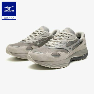 �~�Y�m���� WAVE RIDER �� GTX �S�A�e�b�N�X/�h�� ���j�Z�b�N�X �O���[×�O���[×���C�g�O���[ �N���A�����X