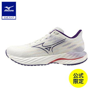 ~Ym y~YmcXzEG[uCXpCA21 jO fB[X zCg×p[v×sN