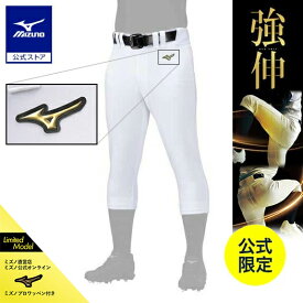 ミズノ公式 【ミズノ直営店限定/ミズノプロ】強伸 ストレッチパンツ/レギュラーフィットタイプ ワッペン付き ユニセックス ホワイト