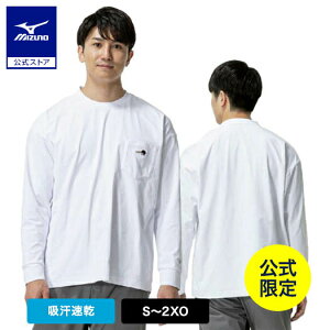 yyVX[p[SALEz~Ym 싅by OTVc  zCg  Y fB[X jp z JWA i  싅`[t 12JACT80