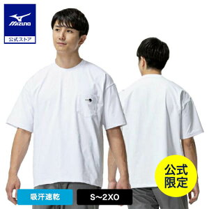 ~Ym 싅by TVc  zCg  Y fB[X jp z JWA i  싅`[t 12JACT81