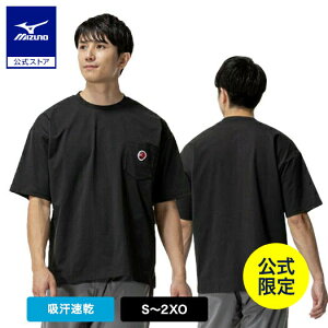 ~Ym 싅by TVc  ubN  Y fB[X jp z JWA i  싅`[t 12JACT81