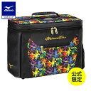 ミズノ公式限定 ミズノプロ 野球 バッグ グラブケース ネオダイバーシティモデル MIZUNO 20L グローブ 1個 2個 野球バック 野球バッグ ブラック 1FJCCR02