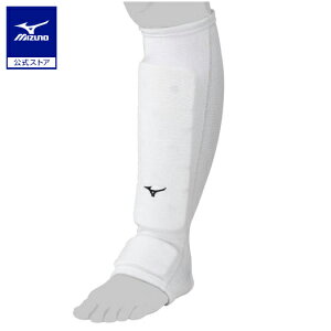 ~Ym ˁEpT|[^[ Б/ WjA zCg