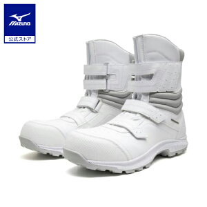 ~Ym I[}CeB BA 29H xg/u[c/[LO jZbNX zCg×O[