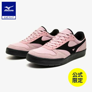 ���i�摜