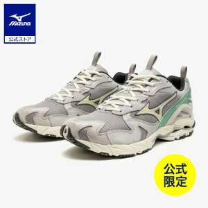 �~�Y�m�����y�~�Y�m���c�X����zWAVE RIDER 10 ���j�Z�b�N�X �O���[×�z���C�g×�O���[