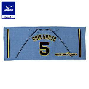 ~Ym TigersvgjtH[tFCX^I rW^[ jZbNX ߖ{