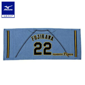 ~Ym TigersvgjtH[tFCX^I rW^[ jZbNX 