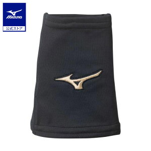 ~Ym yO[oG[gzXgoh Xgb`^Cv 1 jZbNX ubN