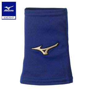 ~Ym yO[oG[gzXgoh Xgb`^Cv 1 jZbNX pXelCr[