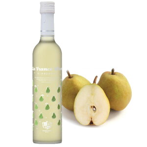 @EtXC@500ml̓ Mtg v[g R` C Ci[ t[cC