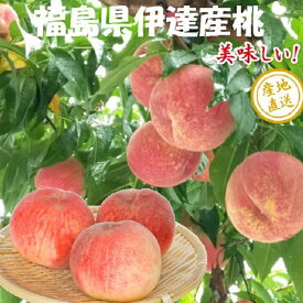 大玉2.7kg箱 （6〜9玉）　福島県　伊達産 桃　もも　モモ　（ 　 あかつき　 まどか　 幸あかね　ゆめかおり　　など）（九州は送料600円増し）