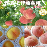 白桃・黄桃　詰合せ　2.7kg箱（8〜15玉）　福島　伊達産　桃　もも　（九州は送料600円増し）
