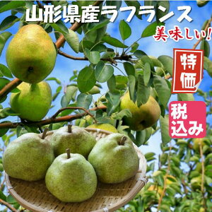 tX@󂠂@10kg΂l߁@R`Y@EtX@@iB͑600~j@킯@Z[@@m