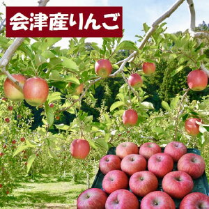 @Tӂ@킯@10kg@5kgX2@@ÎY@@TtW@󂠂@ƒp@񂲁@S@ӂiB͑600~j@@@X@R`