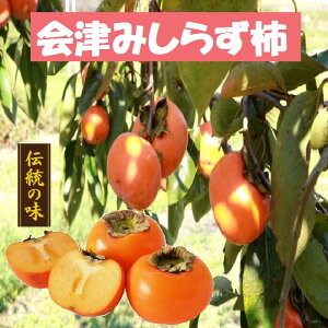 ݂炸`@3kg@m炸`@Á@@2L`5L@a𔲂Ă̈SzIiB͑600~j