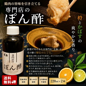 今だけおまけ！【濃厚つけ麺1食付き】《TV出演多数》 お取り寄せグルメ 高級 水たき玄海 専門店の白いとり鍋 【 誕生日プレゼント 母の日 水炊き ギフト 食品 お取り寄せ 鶏鍋 水炊き鍋 水炊きセット 伊達鶏 贈り物 贈答品 内祝 コラーゲン 健康 美容