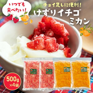 Ⓚ肢1kgE݂1kg (e500g×2) Ⓚ  C`S Ⓚt[c Ⓚ݂ Ⓚ ʕ t[c Ђ Y ÉY ̂ꂽ X[W[ W X Ⓚʎ 