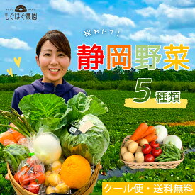 楽天市場 野菜セット ギフトの通販 楽天市場 野菜セット ギフトの通販