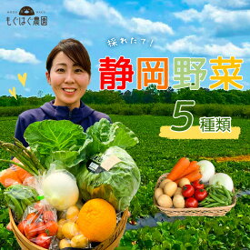 【お試し】採れたて！静岡野菜セット 5品目 野菜 セット もぐはぐ農園