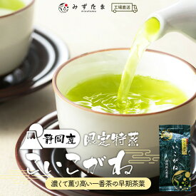茶葉 緑茶 お茶 限定特蒸 こいこがね 茶葉 100g みずたま農園製茶場 煎茶 一番茶 国産 静岡 静岡茶 牧之原 無添加 日本茶 リーフ 深蒸し茶 深むし茶 送料無料 メール便 初日摘み 高級茶