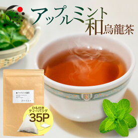 ハーブティー ブレンド アップルミント×烏龍茶 2.5g×35p ティーバッグ お茶 アイスティー 水出し 国産 無添加 アフタヌーンティー 冷茶 水出し ハーブ フレッシュ 爽やか 甘さ ひも付き