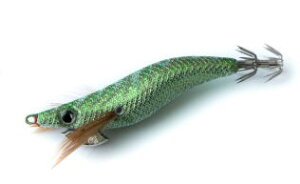 u[f GM}VGveB2.5Slow 20 O[/^O[(uv+)y4571491680034z