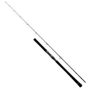 AEgCW BR LC76-2