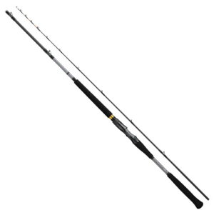 y_Cz2025 ^A AJc M-205EJy4550133552304z