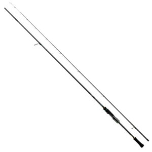 y_Cz2024 G_X XgCXg STiAEgKChfj 88ML-SMTy4550133166563z