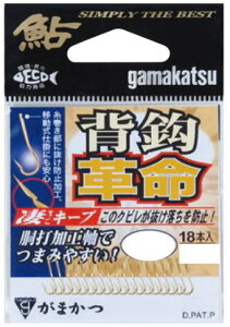 yzy܂ziԁF67913wbvF3y4549018374476z